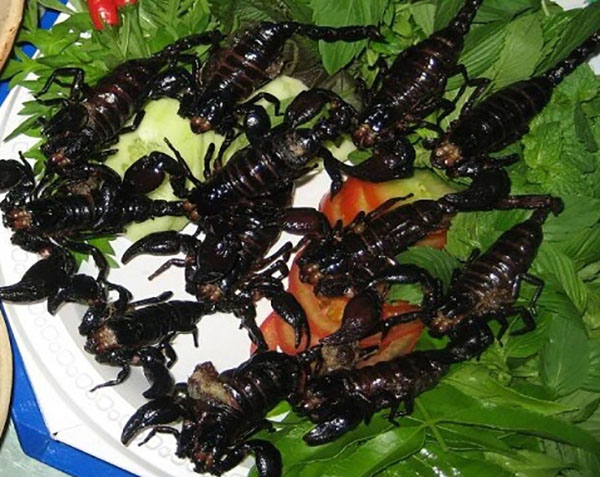 Bọ cạp Bảy Núi  - 10 món ăn ngon - đặc sản An Giang