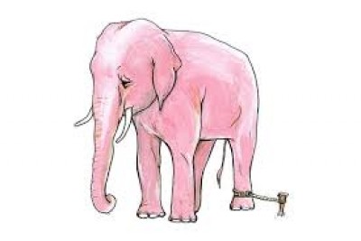 CON VOI VÀ SỢI DÂY THỪNG