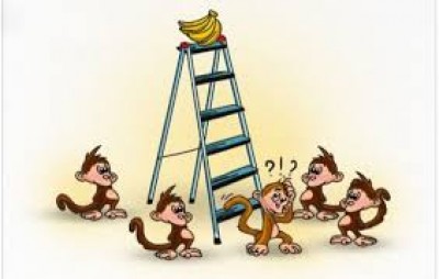 BÀI HỌC VỀ 5 CON KHỈ VÀ NẢI CHUỐI.