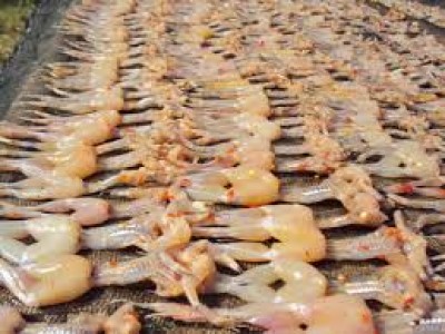 ĐẶC SẢN AN GIANG. KHÔ NHÁI – “VŨ NỮ CHÂN DÀI”| KHÁCH SẠN HELEN NGỌC GIANG MỜI BẠN THỬ!