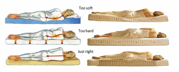 khachsanlongxuyen _ chọn nệm cứng hoặc mềm?