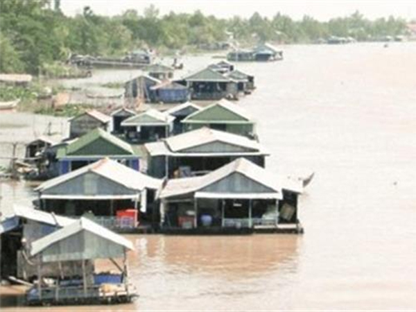 Làng bè nuôi cá Ba sa ở Long Xuyên